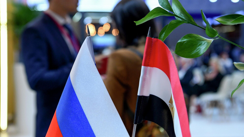 Лавров рассказал о росте товарооборота с Египтом